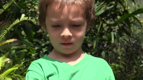 Nyfikna unga barn pojke — Stockvideo