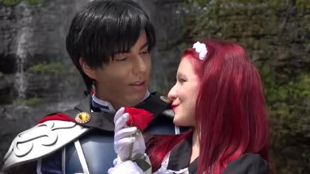 Prince Kisses Maiden Cosplay — Stock Video