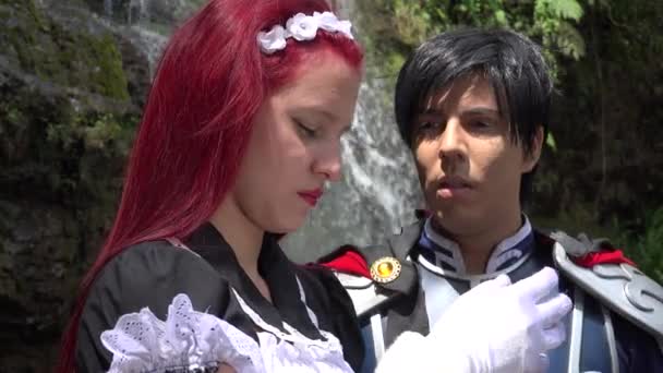 Принц романтично цілує Maiden — стокове відео