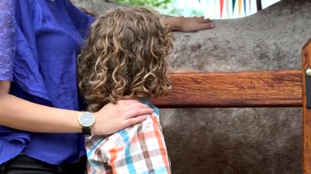 Hermano y hermana acariciando caballo — Vídeos de Stock