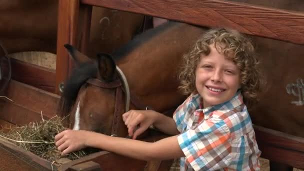 Sonriente chico en caballo granja — Vídeo de stock