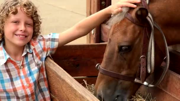 Sonriente chico con alimentación caballo — Vídeos de Stock