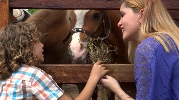 Хлопчик і дівчинка біля кінна ферма — стокове відео