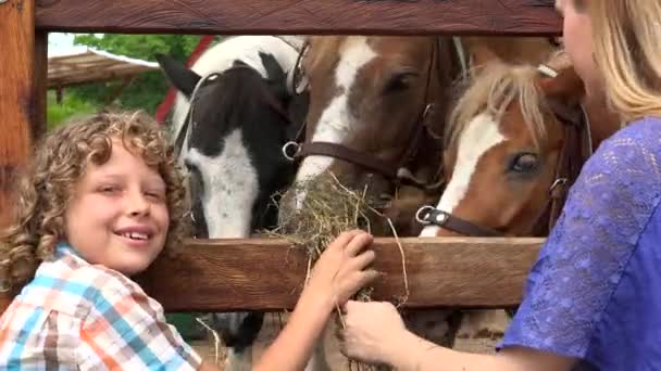 少年と動物農場の少女 — ストック動画