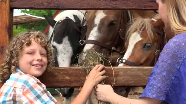 Ragazzo e ragazza alla fattoria degli animali — Video Stock