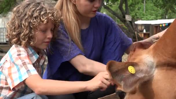 Niños que visitan la granja de ganado — Vídeos de Stock