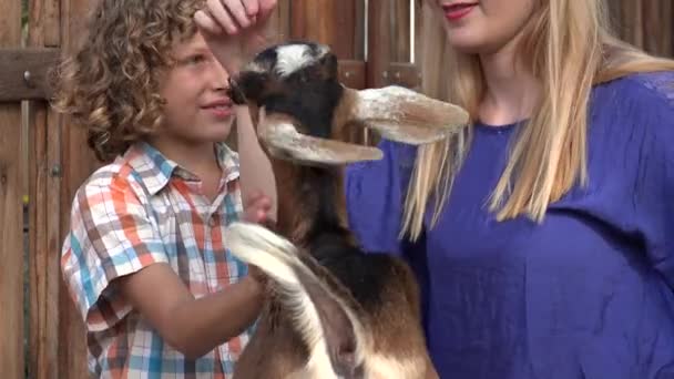 Jonge jongen kinderboerderij geit — Stockvideo