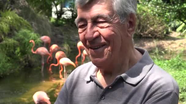 Oude Man in dierentuin — Stockvideo