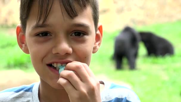 Счастливый мальчик в зоопарке — стоковое видео