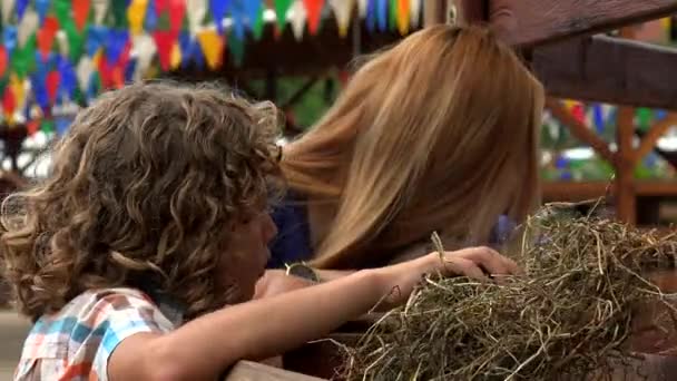 Niño y niña en la feria estatal — Vídeo de stock