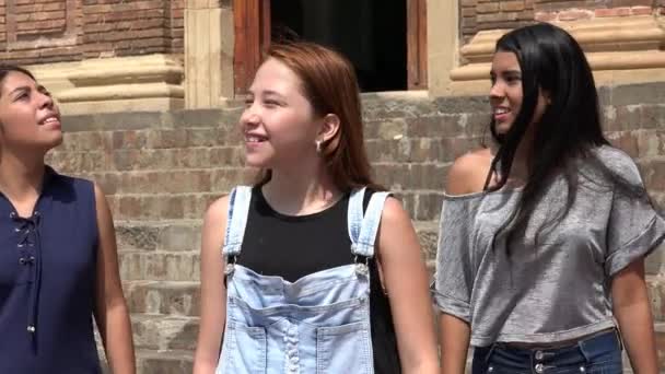 Group Of Teen Girls Walking — Stock Video