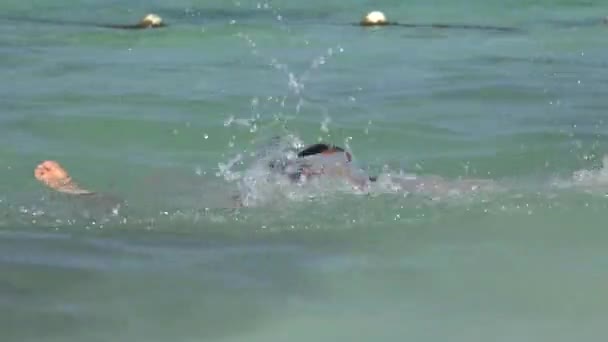 Person Drowning And Saving A Life — Stock Footage Person Drowning And Saving A Life Royalty Free Stock Footage