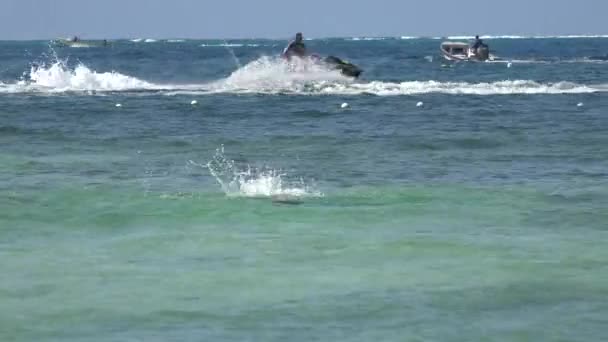 Mulher nadando no oceano — Vídeo de Stock