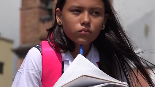 Scuola Ragazza Studiando Pensiero — Video Stock