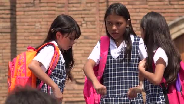 Escola crianças pendurado para fora — Vídeo de Stock