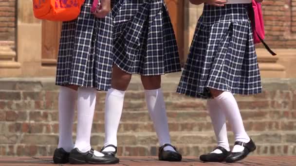 Σχολείο Κορίτσια Φορούν Φούστες — Αρχείο Βίντεο