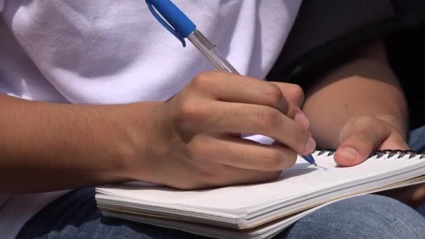 Άνθρωποι σχέδιο στο Σημειωματάριο (Notepad) — Αρχείο Βίντεο