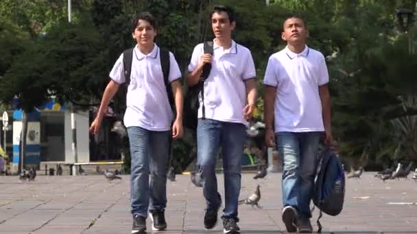 Jugendliche auf dem Heimweg von der Schule — Stockvideo