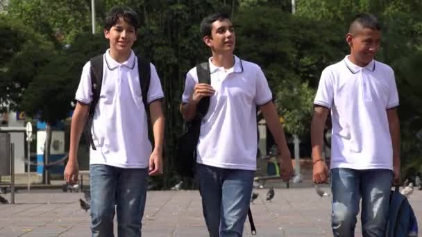 Мальчики-подростки ходят в школу — стоковое видео