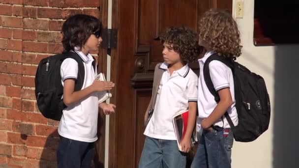 Elementary School Boys Socialisation — Video