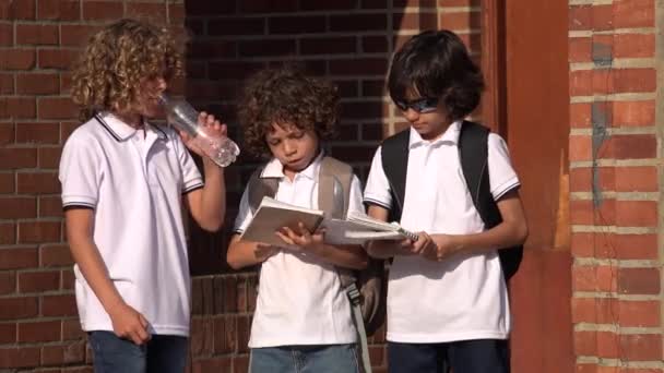 Mladí chlapci žáků základní školy — Stock video