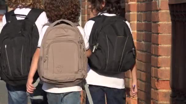 Estudiantes de primaria con mochilas — Vídeo de stock