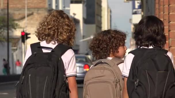 Étudiants de garçons d'école avec sacs à dos — Video