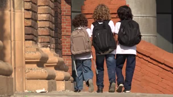 Enfants de l'école primaire marchant avec des sacs à dos — Video