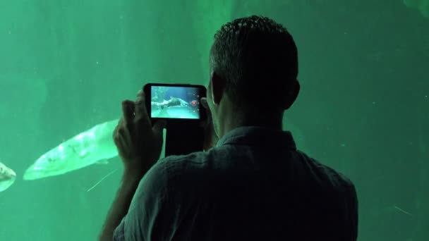 Man Filming Sea Life Aquarium — Stock video