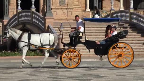 Carruagem Puxada Cavalo Com Turistas — Vídeo de Stock