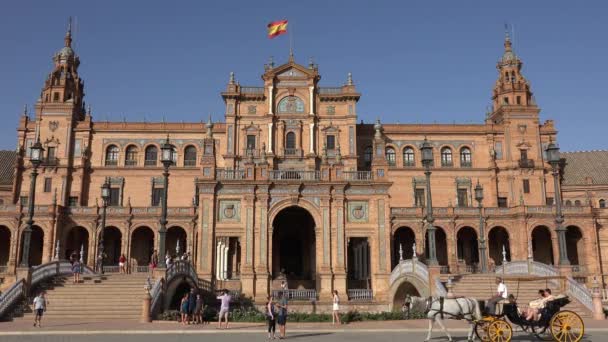 Turisti Carrozza Trainata Cavalli Palazzo Reale — Video Stock