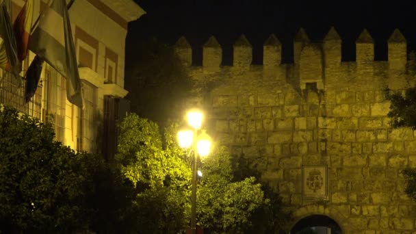 城堡墙在夜间时间 — 图库视频影像