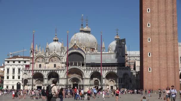 Turistler Palace Veya Katedrali — Stok video