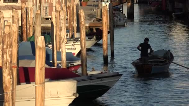 Hombre bote de remos en Canal — Vídeo de stock