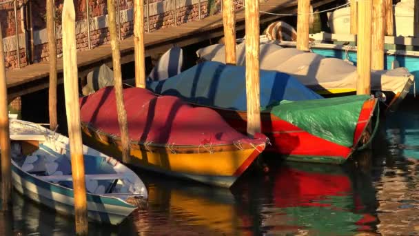 Remar barcos en el muelle o muelle — Vídeos de Stock