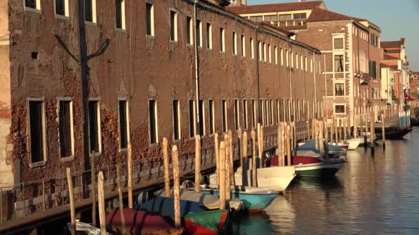 Rij boten In Venetië Canal — Stockvideo