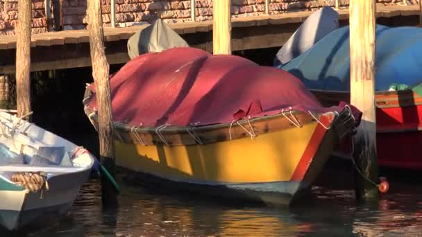 Barco de remos flotando en el río en el muelle — Vídeo de stock