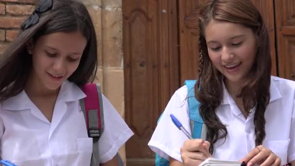 Estudantes muito adolescentes do sexo feminino — Vídeo de Stock