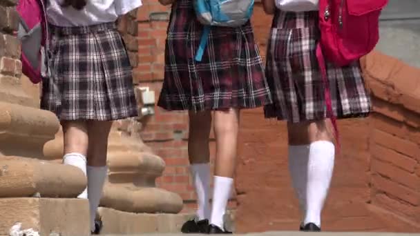 Estudiantes con mochilas — Vídeos de Stock