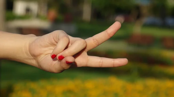 Una Mano Femenina Cuenta Dos —  Fotos de Stock