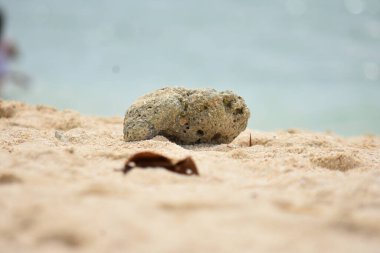 Beyaz Kum Sahilinde Bir Kaya