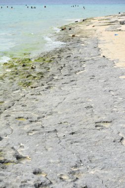 Bir Rocky Sahili Okyanus Kıyısı