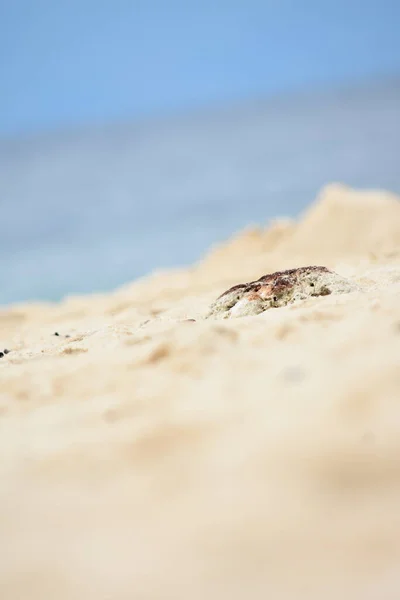 白沙海滩夏日 — 图库照片