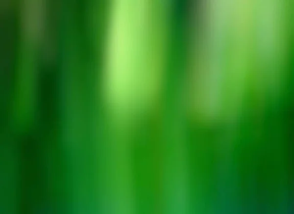 Fundo Abstrato Verde Soft Blur — Fotografia de Stock