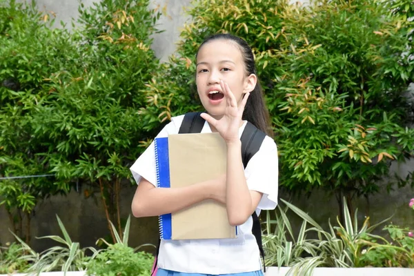 Bastante Diversa Chica Estudiante Hablando Con Cuadernos — Foto de Stock