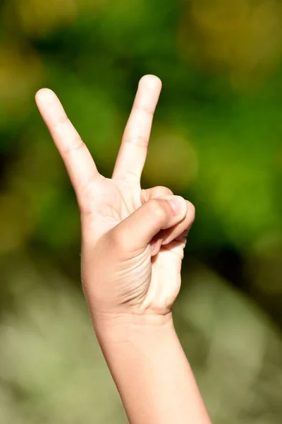 Child Hand Gesture Number Two — Stock fotografie