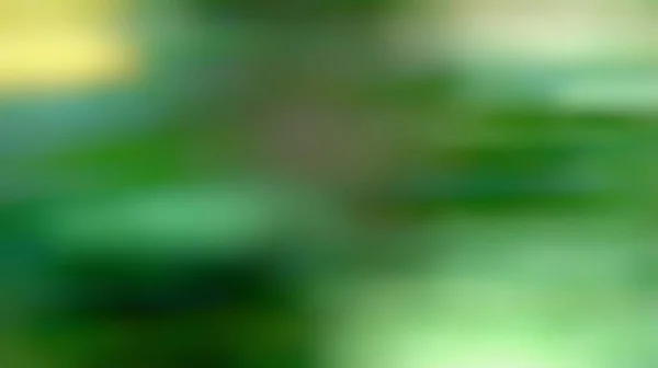 Зелений Який Розмитий Абстрактний Фон — стокове фото