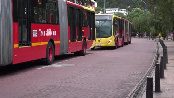 Autobusy, drogi, transport publiczny, masowego tranzytu — Wideo stockowe