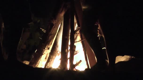 キャンプファイヤー、火災、たき火 — ストック動画