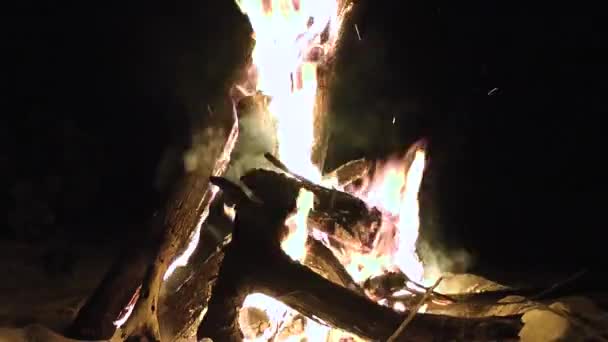 Ognisko, fire, ognisko — Wideo stockowe